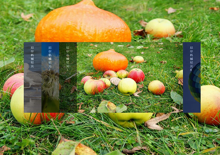 jQuery全屏背景跟隨手風琴圖片切換特效源碼下載