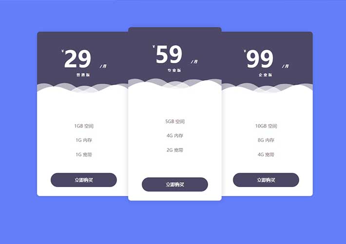 精美套餐價(jià)格表css3布局HTML代碼素材模板